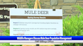 Montana FWP surveys mule deer populations for management after seeing decline