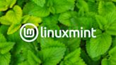 The Linux Mint Software Manager now loads faster and is more secure