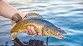 Smooth sailing so far with Michigan's new fishing decree - Outdoor News