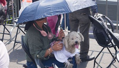 México suma 48 muertes por temperaturas extremas; la mayoría por golpes de calor