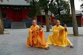 Shaolin kung fu