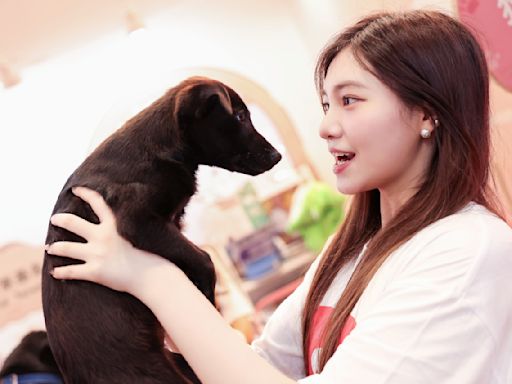 伊林新生代藝人做公益 站台寵物展流浪動物之家