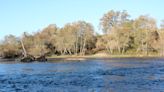 Trout lead winter angling parade at Collins, Camanche and Amador lakes