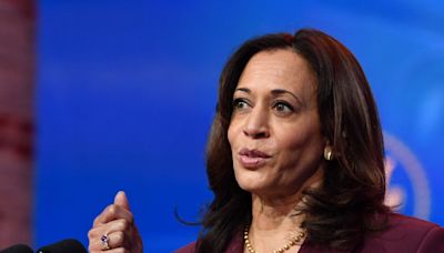 Meet Kamala Harris, America's vice president, who was endorsed by Joe Biden after he dropped his reelection bid