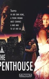 The Penthouse (1989 film)