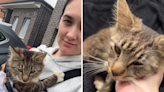 Woman opens door and Cat boldly walks in, but there's just one problem