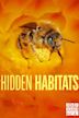 Hidden Habitats