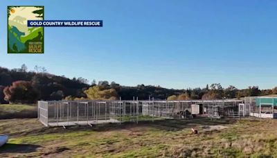 Gold Country Wildlife Rescue receives support as new facility is nearly complete