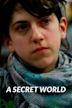 A Secret World