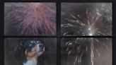 Here's how to keep your dog safe and calm as Fourth of July fireworks get loud