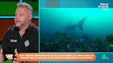 Un experto en tiburones explica qué especies es posible encontrar en las cosas españolas