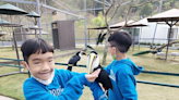 九九峰動物樂園｜亞洲最大鳥類主題樂園 近距離互動超好玩