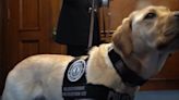 Attorney General Russell Coleman welcomes new counter exploitation K-9 Officer