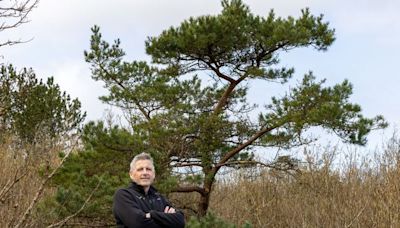 How this Burren group are bringing a native Irish tree back from the brink – centuries after it was thought to be extinct