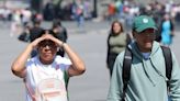 Domo de calor en México: Temperaturas dañan a personas, monos y más animales