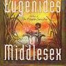 Middlesex (novel)