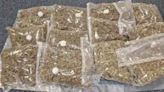 Man held after cannabis worth £50k found in M6 car