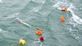 Victims' rights group to host flower toss Wednesday