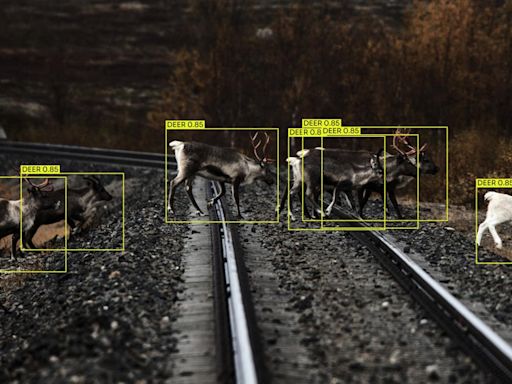 Alstom and Flox trialling AI wildlife detection system in Sweden