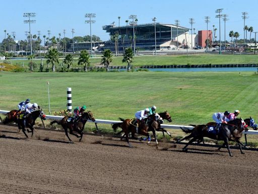 Los Alamitos horse racing consensus picks for Saturday, September 14, 2024