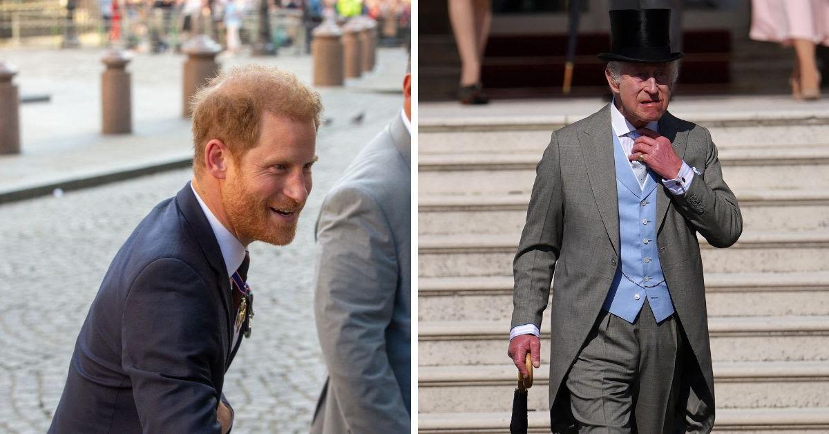 Prince Harry 'Deeply Stung' After King Charles Meeting Was Scrapped