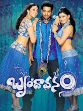 Brindavanam (2010 film)