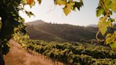 Your Perfect Weekend Getaway in Sonoma Wine Country