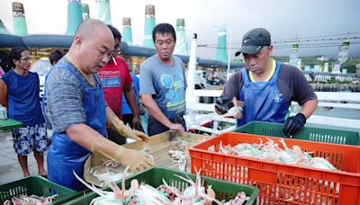 北海岸風箏節登場 富基魚市品蟹消費滿額送好禮 | 蕃新聞