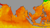 Ocean heat is off the charts – here's what that means for humans and ecosystems around the world