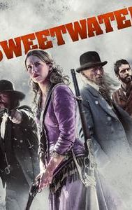 Sweetwater (2013 film)