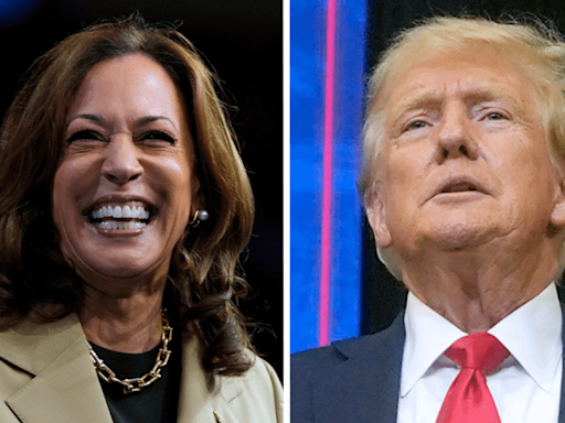 Harris in ‘striking distance’ of Trump in Florida, pollster says