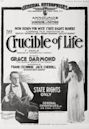 The Crucible of Life