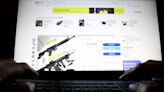 'You know what these are for': How EBay sellers dodge its assault weapons ban