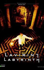 Labyrinth (2002 film)