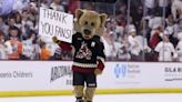 Arizona’s hockey fans become the latest to be tossed aside by the NHL - The Boston Globe