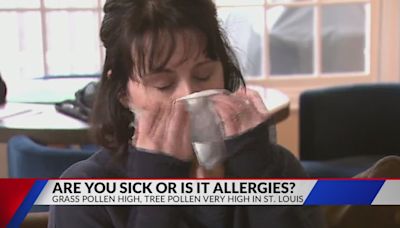 Cold or allergies? Here is how you can tell them apart