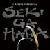 Sekigahara (film)