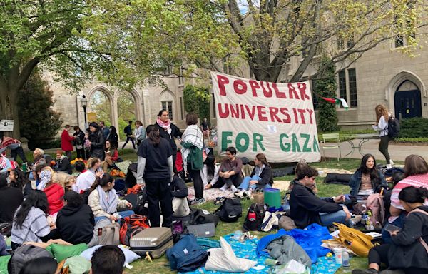 Princeton faculty demand university VP resign after arrest of student protesters