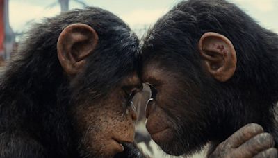 ‘Kingdom Of The Planet Of The Apes’ Is Finally Streaming—How To Watch The Entire Franchise