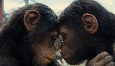 ‘Kingdom Of The Planet Of The Apes’ Is Finally Streaming On Hulu—How To Watch The Entire Franchise