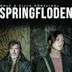 Springfloden