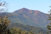 Cold Mountain (North Carolina)