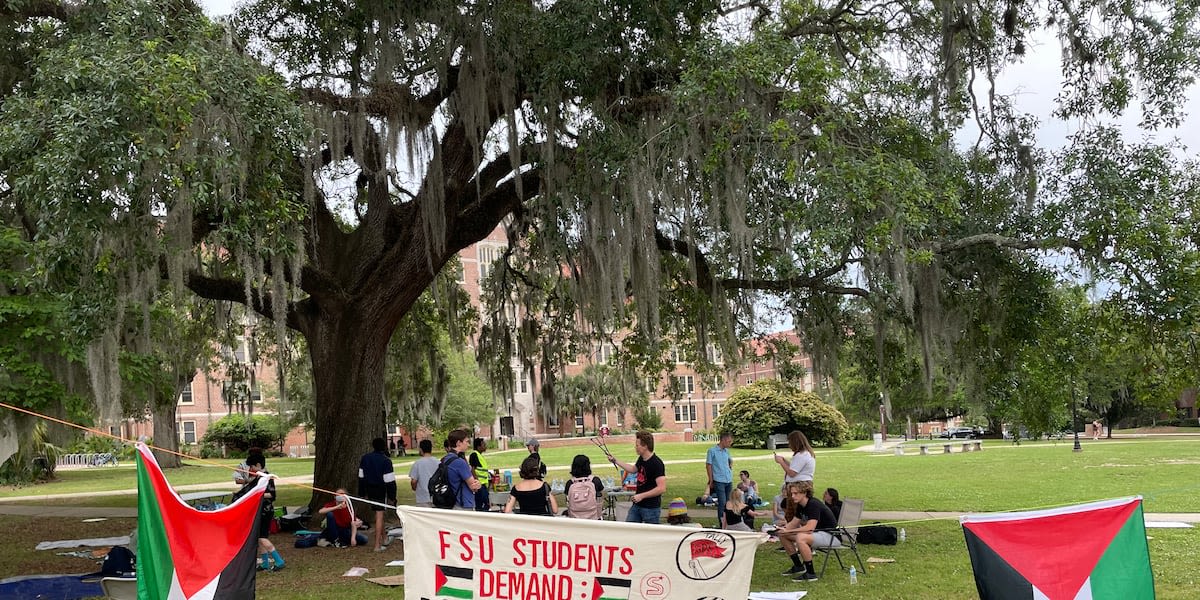 Tallahassee activists demand prosecutors drop charges against FSU protesters