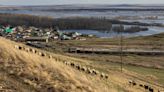 Russia's agricultural sector largely unscathed by floods, minister says