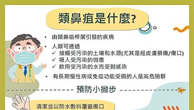 台南連爆2例類鼻疽病例 桃園防登革熱