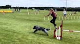 Charleston dog, ‘Critter,’ competing in France for IFCS World Agility Championship