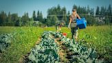 How grocery co-ops invest in local community and food systems | Provided by PCC Community Markets