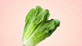 Is It Safe to Eat Romaine Lettuce?