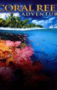 Coral Reef Adventure