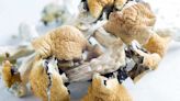 Psilocybin Appears Effective for Depression, but Concerns Linger